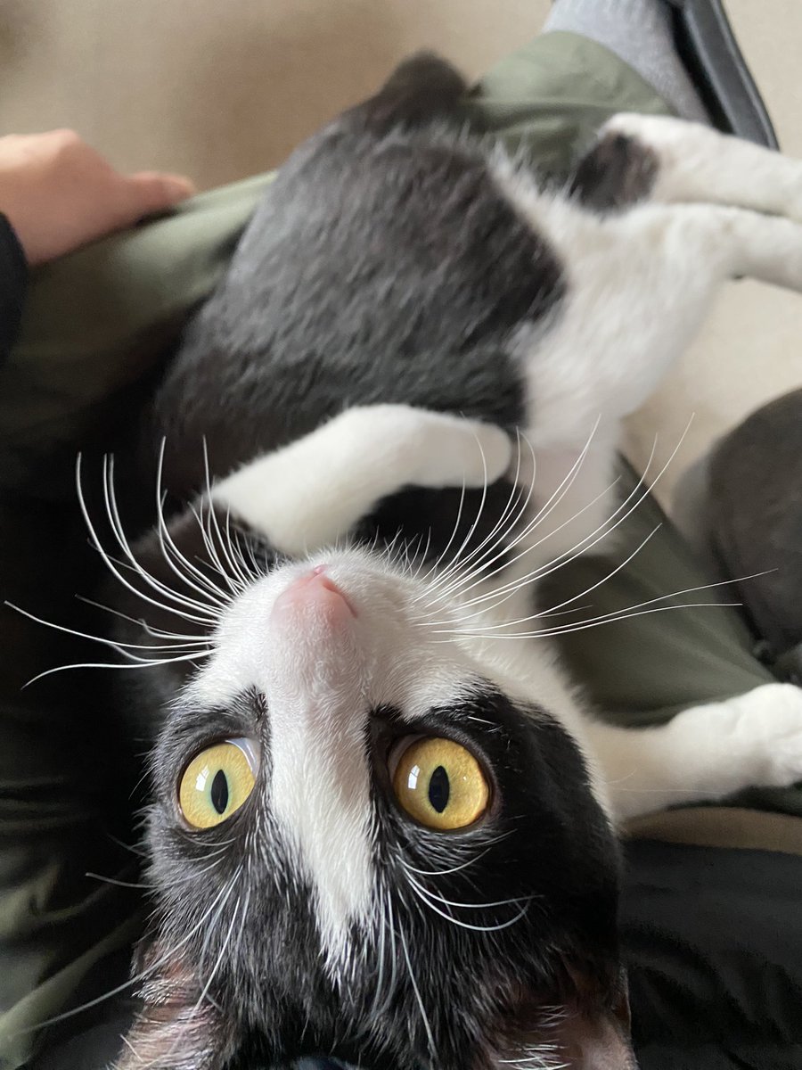 ただいま〜🌿✨