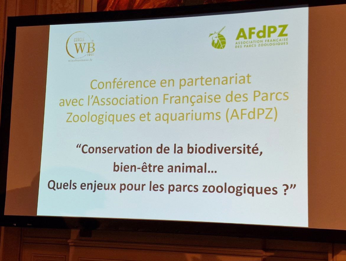 CorinneVignon's tweet photo. #Animaux🐳
Je suis à la conférence du Cercle WB et l'Association française des parcs zoologiques et aquariums👉🦁Des échanges passionnants sur le thème "conservation de la biodiversité, bien-être animal… Quels enjeux pour les parcs zoologiques ?"
#AFdPZ https://t.co/gNzdlm53TI