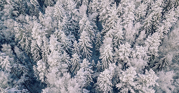 storaensosuomi's tweet photo. Investointejamme julkistettiin tai valmistui Suomeen yli 1,2 miljardilla eurolla vuonna 2022! ✨ Investoinnit kohdistuivat strategisille painopistealueillemme eli uusiutuviin pakkauksiin, biomateriaali-innovaatioihin sekä puurakentamiseen. Lue lisää 👉 https://t.co/YK3VyJLCmt https://t.co/NM1sFa2mGJ