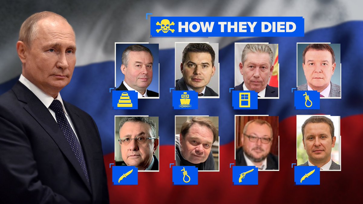 KrakenCove tweet media