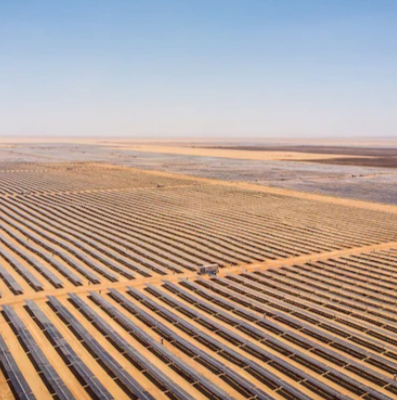 AvrionSoftware's tweet image. Did you know that Egypt has abundant potential for solar power? Avrion has helped @Ecologi_hq generate #renewable #SolarElectricity in Egypt. 

ow.ly/PrI150MnypS 

#AskAvrion #CSR #ClimateChange #ClimateAction #Sustainability #CommunityAction #Reforestation #CarbonReduction
