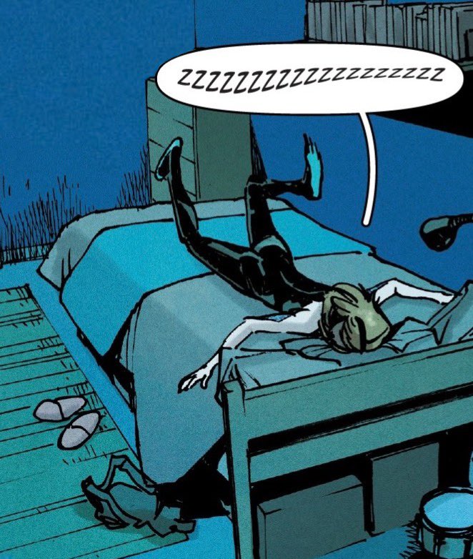 Before I sleep, I--