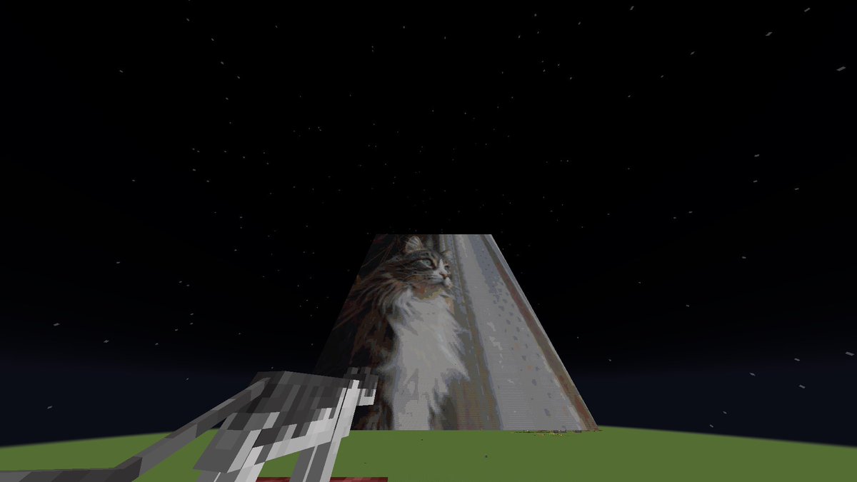 <a href="/AmeliaAngelea/">Amelia</a>'s cat in minecraft!