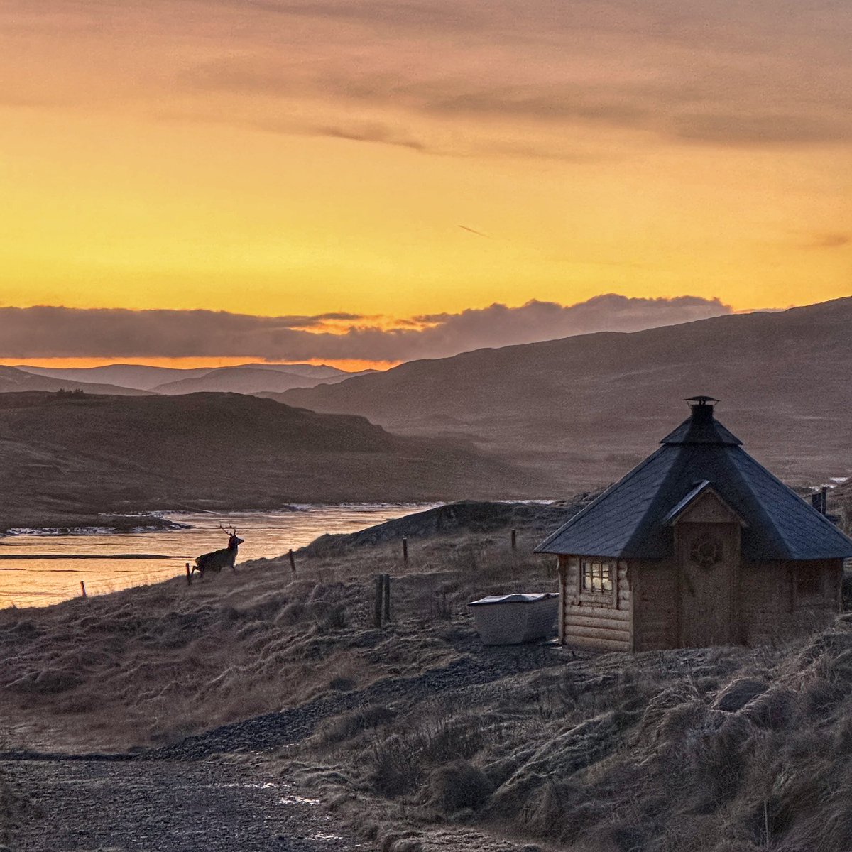 Guy Redwood tweet media