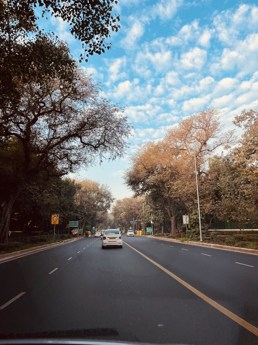Grateful that my commute to work looks this pretty ☺️

#DelhiWinter