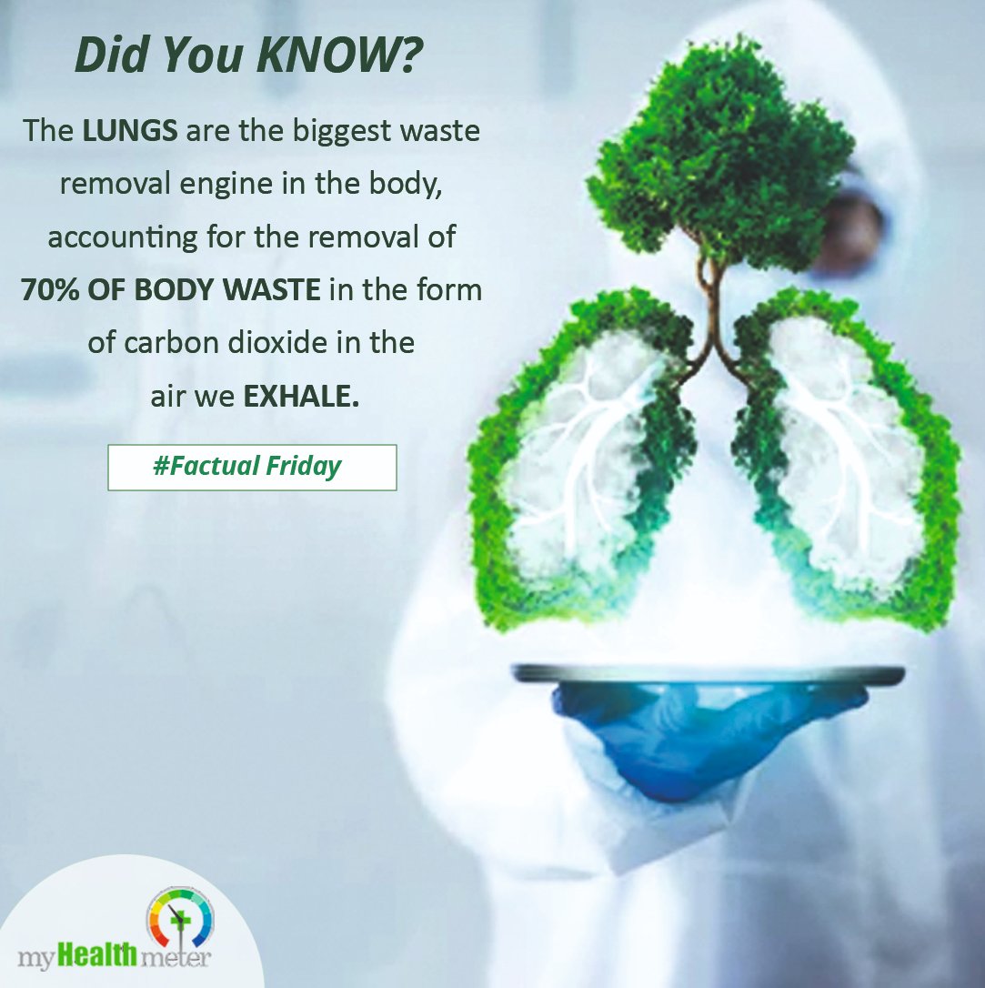 Factual Fridays - Every day, the average person loses at least 200g of carbon, with roughly one-third of that loss occurring while we sleep. #fridayfacts #healthfacts #funfacts #didyouknow #health #healthandwellness #healthcare #myhealthmeter #diagnostics #annualthealthcheckup