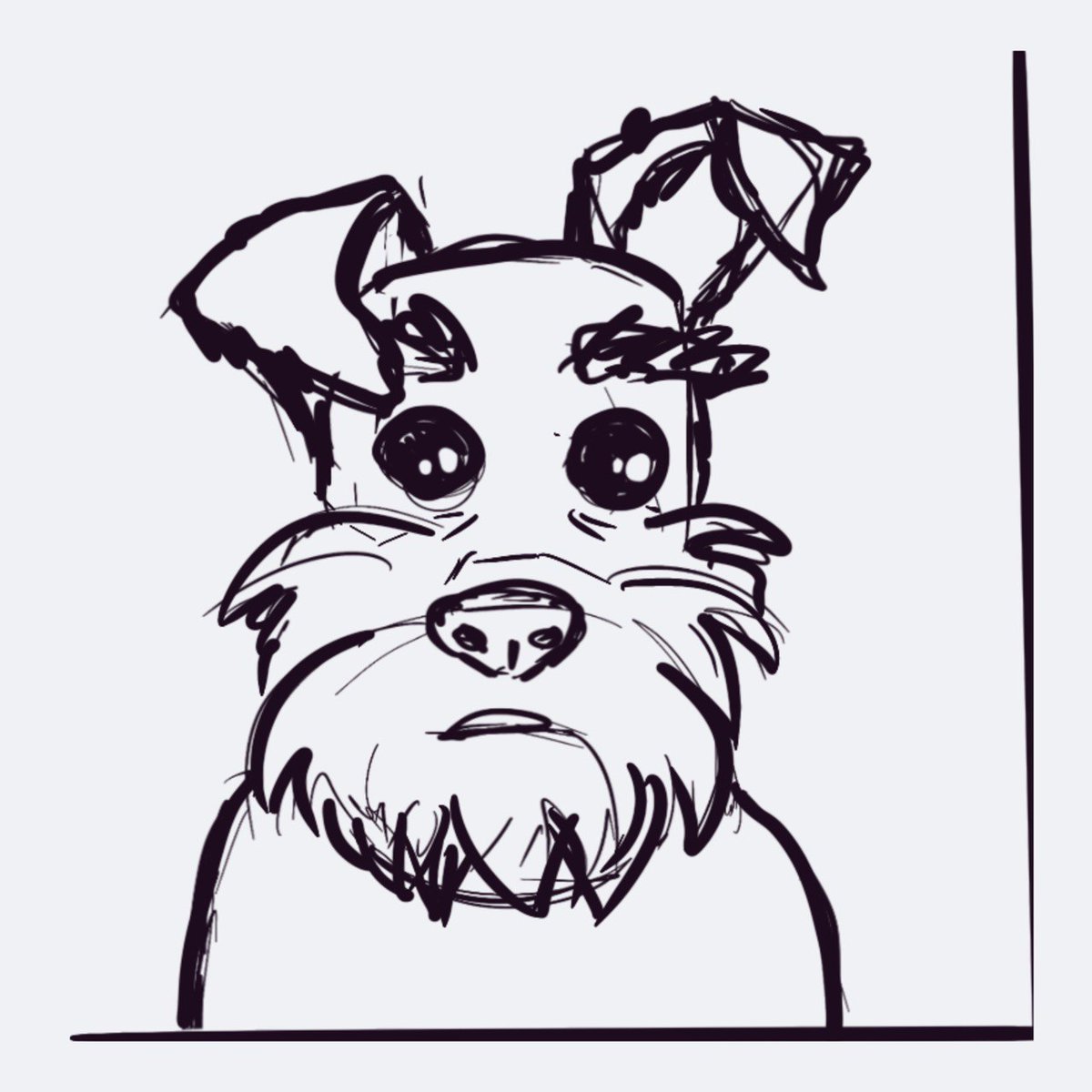 keniuta's tweet photo. GM! 🫶🏻☀️

I decided to show you my first sketch Bufotti 😀🙈
He looks so sad here🥺

And then this sketch turned into this winter drop 🥶☺️

#SchnauzerBufotti #NFTCommunity https://t.co/kNNvOY8hKv