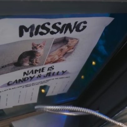 twicedorkss's tweet photo. The missing cats are Candy and Jelly. That's Korean and International Once's names 😭😭 https://t.co/piDq14RFPZ