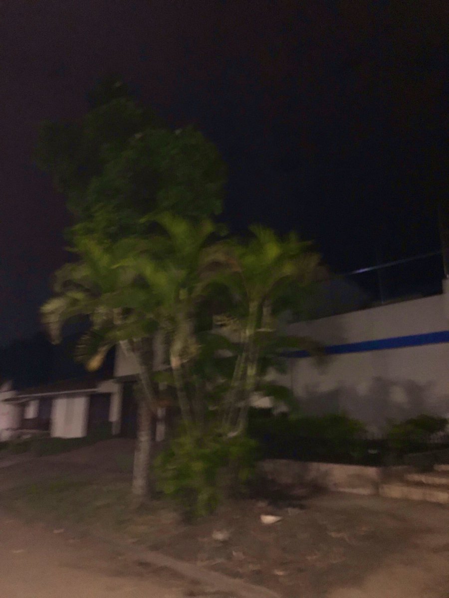 Danigonza1909's tweet image. A millas siento tu aroma 💚 #Calive       Estando aquí, deseando estar allá 🥺