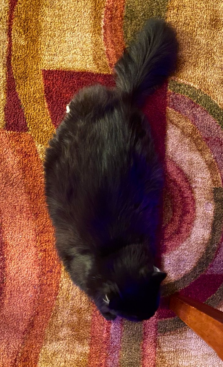 efilnikufsin's tweet photo. Zip sploot. #ZipIN https://t.co/CG28QqdITg