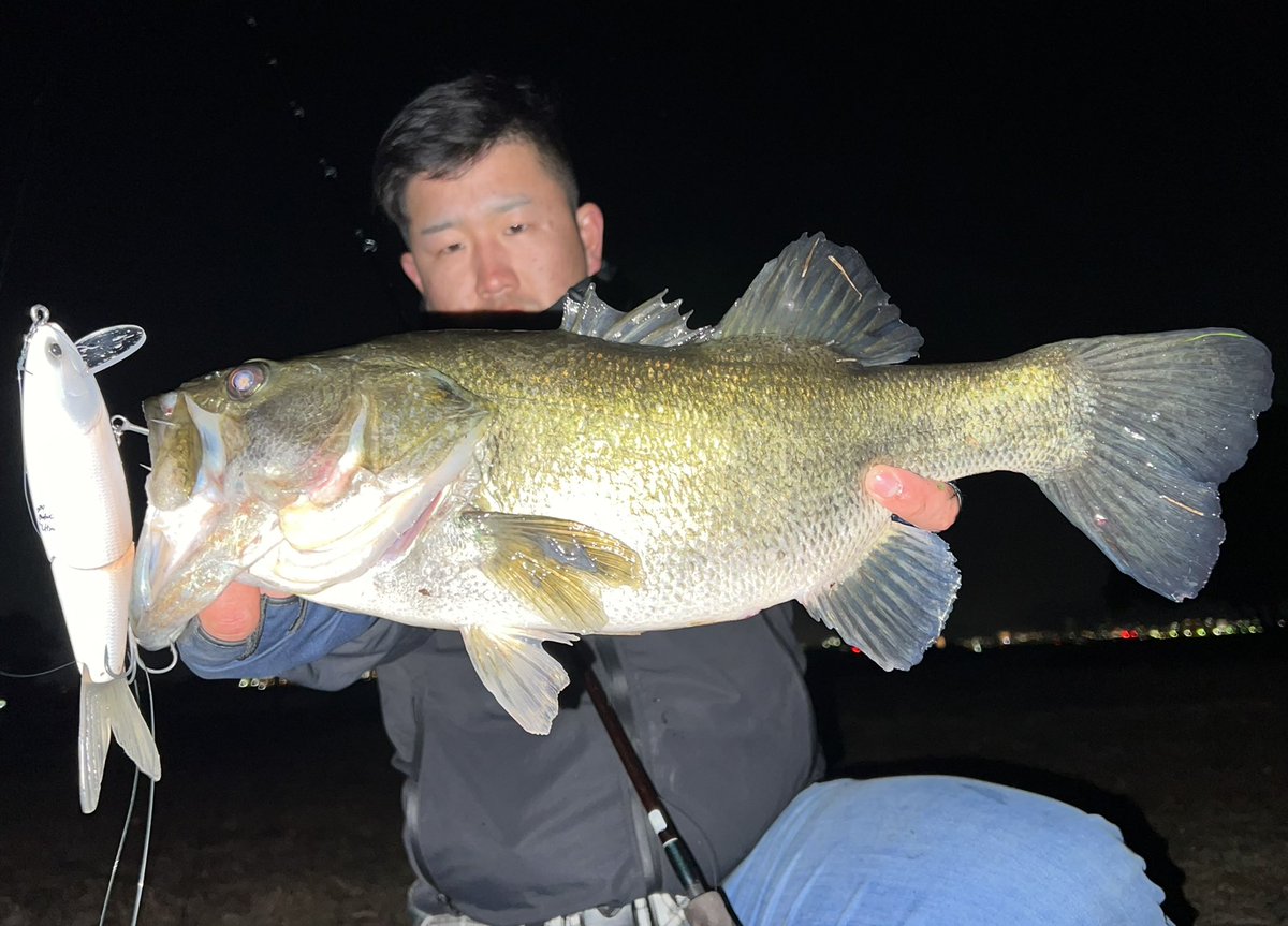 Shota10076010's tweet photo. 琵琶湖ナイト釣行🎣
頼んでたルアーを届けてもらったので
次の日の仕事終わりにちょっとだけ
琵琶湖に😏
ヒットルアー
onebaits Ultra✨
新年1本目の魚‼️
てかルアーカッコ良すぎる😏
ありがとうございます🙇♂️
@onebaits
#onebaits
#Ultra
#琵琶湖
#琵琶湖バス釣り
#ガーゴイル69H
#ビックベイト https://t.co/TpWSDtDHbI