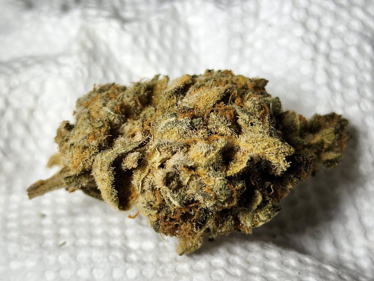 adam broomfield .. Pluviophile and photographer tweet media