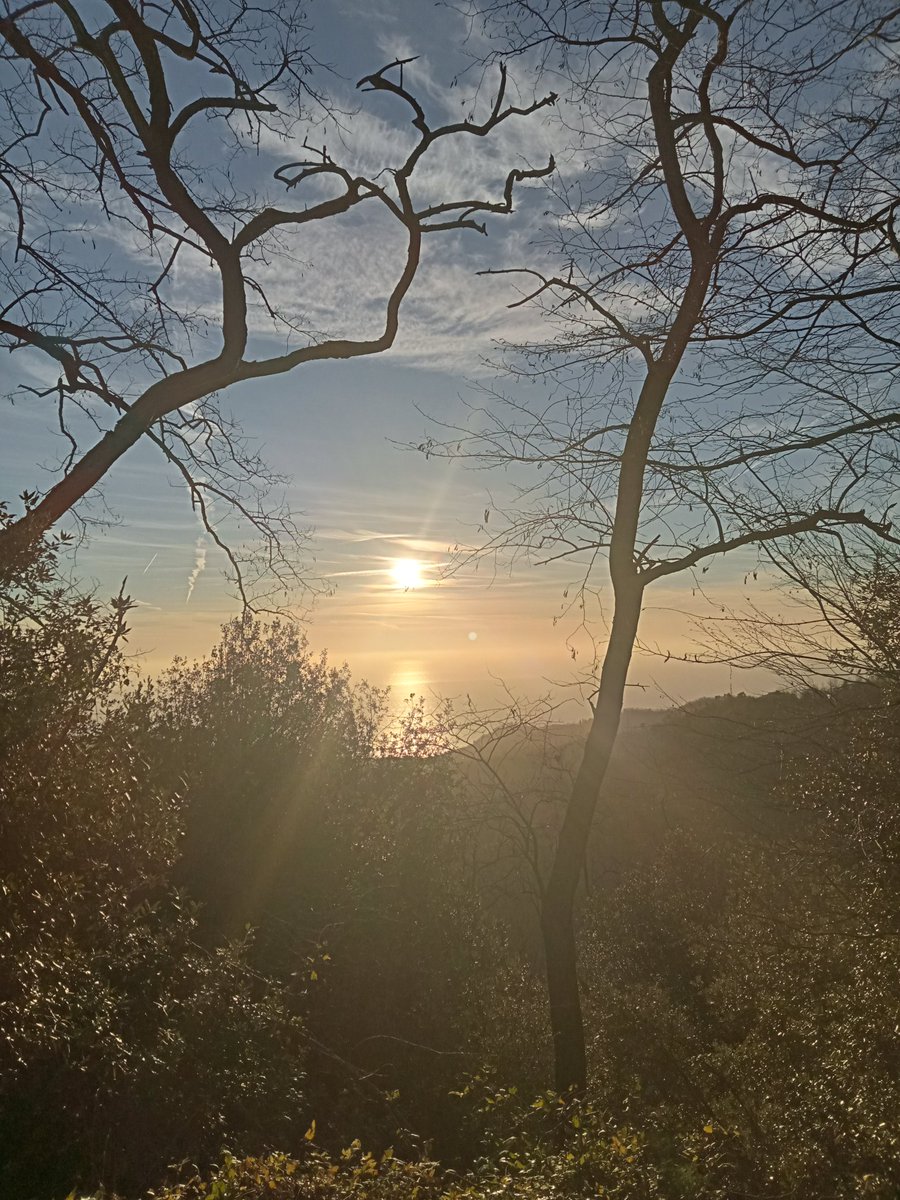 dadamaiorino70's tweet photo. Risvegli.....☀️☀️☀️ https://t.co/Xkv8vmPivr