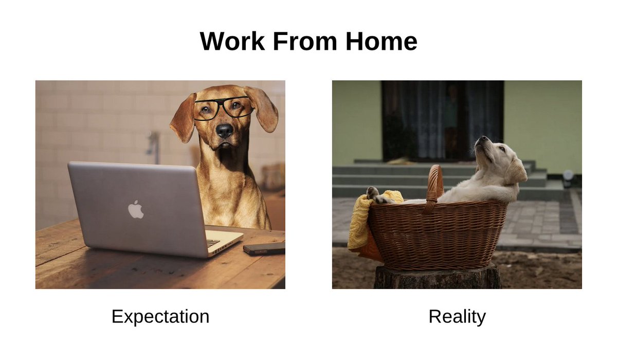 ProductAI1's tweet image. WFH tip: remember to put pants on before your morning video call. #WFHproblems #telecommutingtrouble #neverleavingmypajamas #WorkFromHomeJobs #WorkFromHome #Memes #fun #tech
