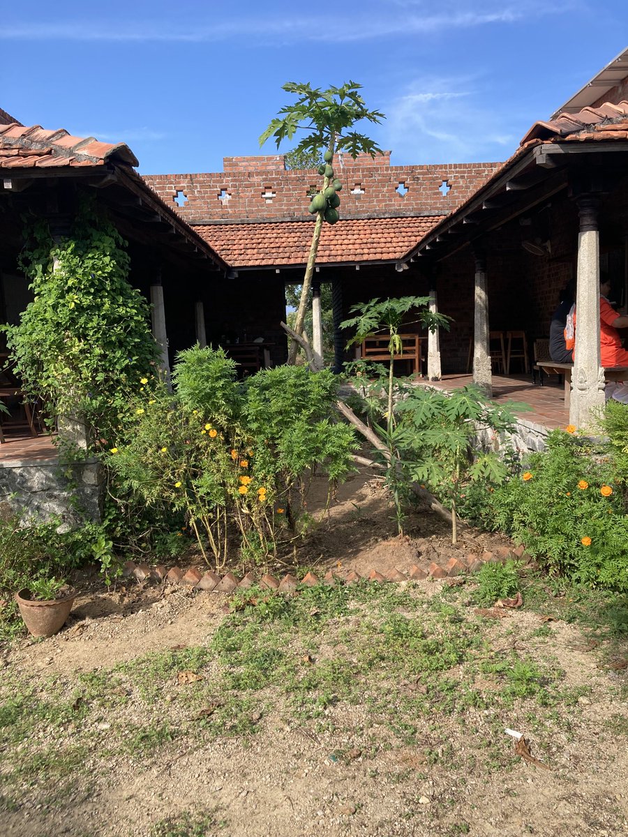 CoachFishINDIA's tweet image. Found an amazing Farm to Table organic farm and restaurant 5 km from our Academy in Mahabalipuram, India. India has it all!
