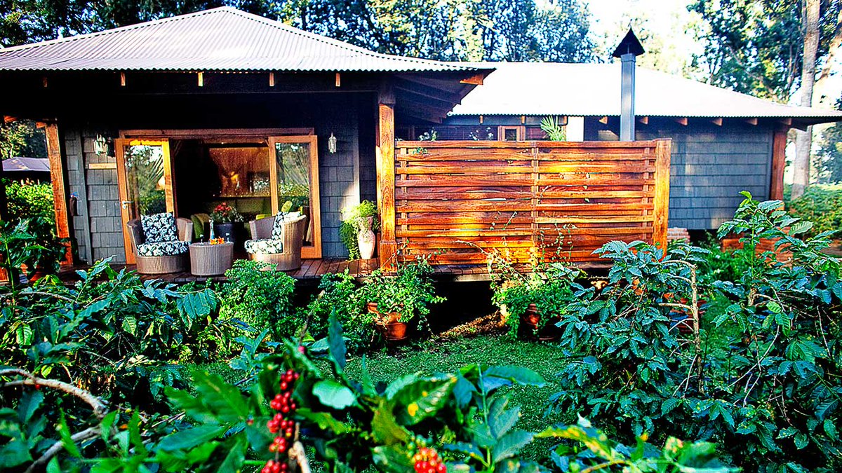 ArushaCoffLodge's tweet photo. Curl up with a good book from the comfort of your suite.

Our plantation suites have a private outside terrace with log fire and attractive décor reflecting the omnipresent theme of coffee, inviting you to relax and unwind.

#EncounterElewana #ArushaCoffeeLodge #BookReaders https://t.co/8Pdq4Kdox7