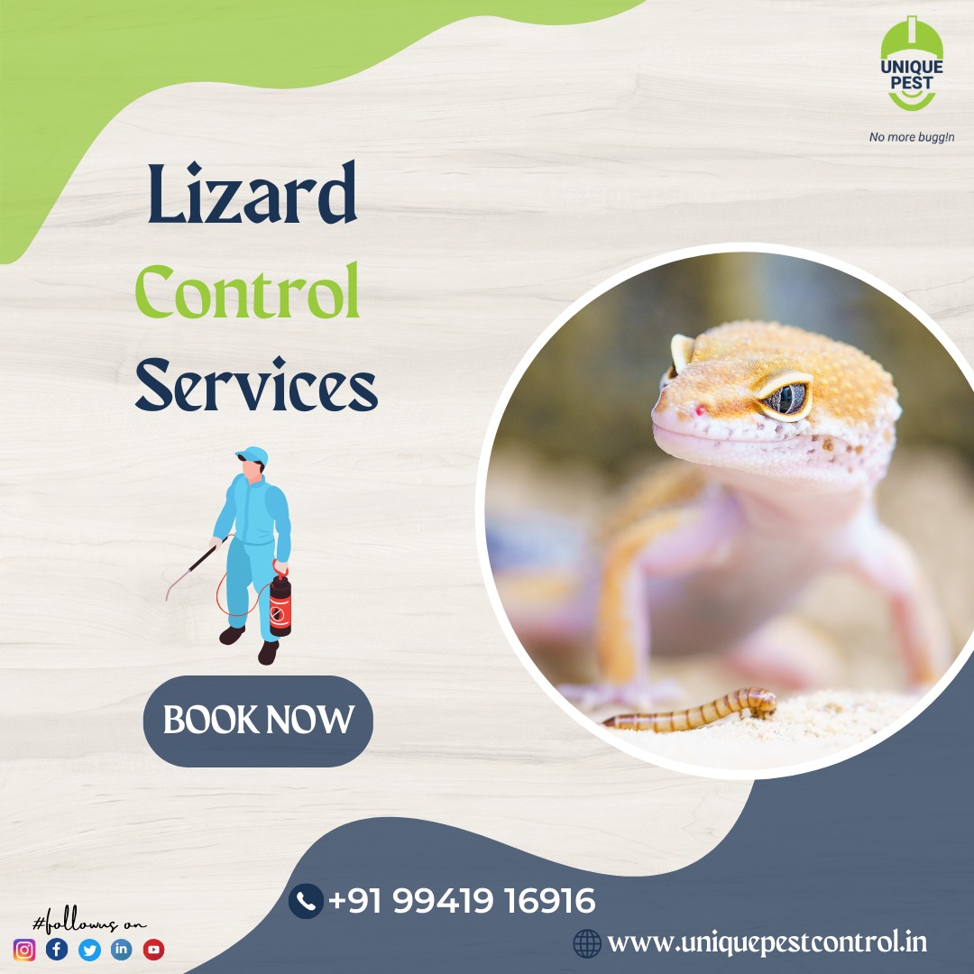 pest_unique's tweet image. Lizard control services are useful for preventing lizards from entering and infesting buildings and homes. 
Call Now: +91 9941916916 and get the best Offer uniquepestcontrol.in/services/gener… 
#lizardpestcontrol #gpc #lizards #moneysaverpack #pestcontrolservices #pestcontrol