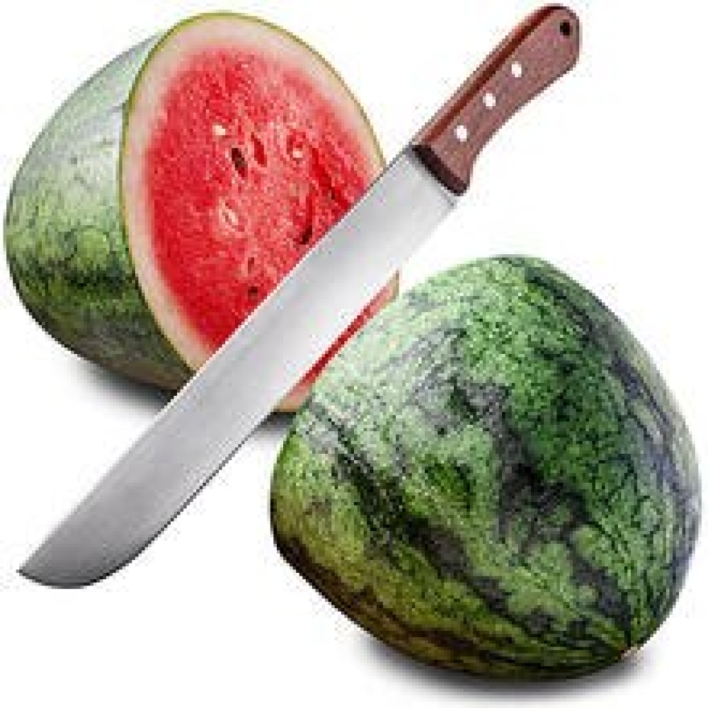 OUR BEST SELLER 
____________________
Watermelon Fruit Knife Stainless Steel Long Fruit Knife Melon Barbecue Fruit Peeled Knives Outdoor Camping Knife 
$14.00 
Buy one here—-> jonaki.com/watermelon-fru…

#kitchenknifes #jonaki #shoppingonline #shopping4u