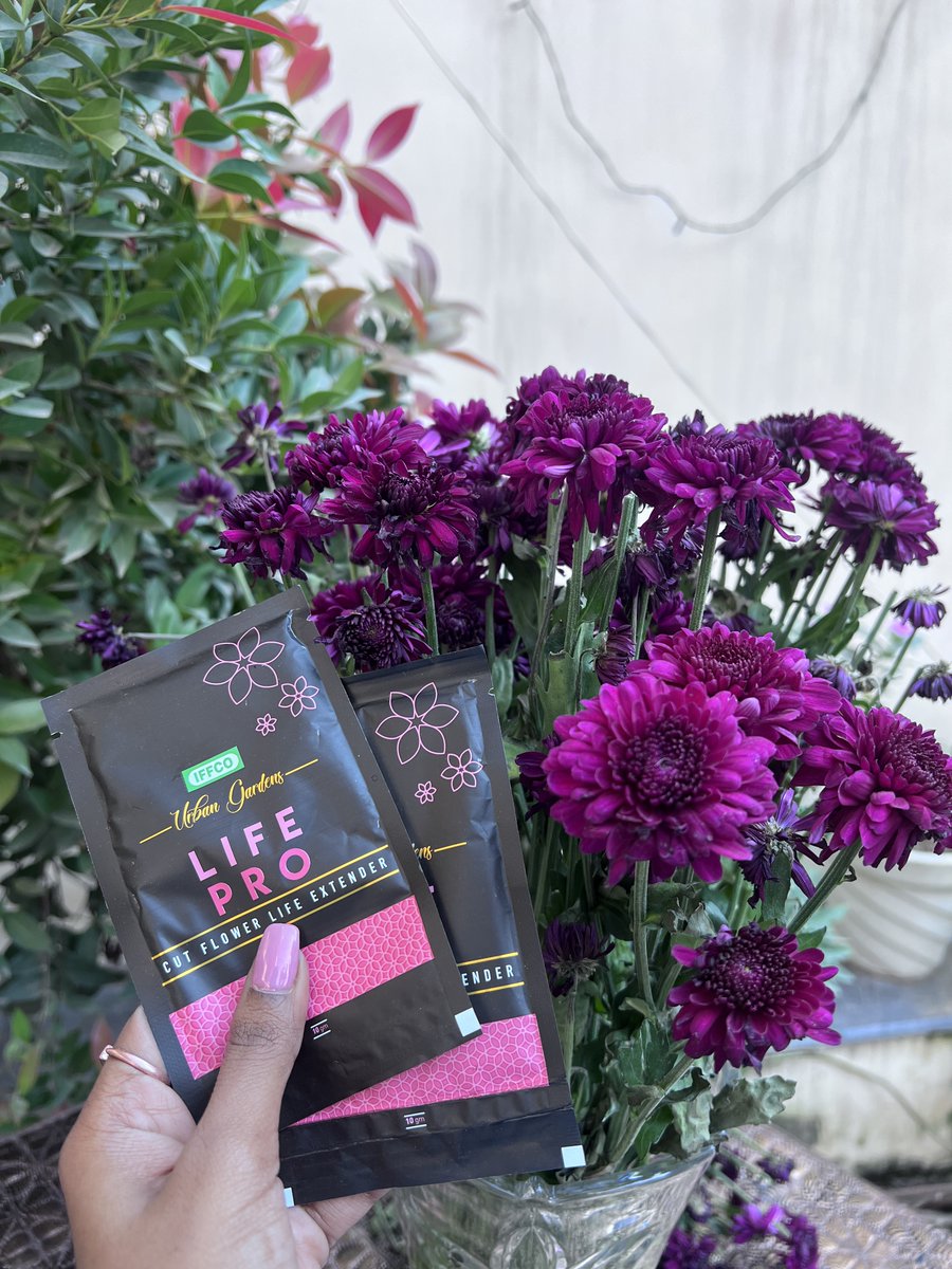 iffcourbangrdns's tweet photo. Cut flowers were sealed with coconut oil to prevent loss of moisture through transpiration , but with the new IFFCO urban gardens Life pro cut flowers resin afresh up to 24-48 hrs.
#planttip #lifepro #iffcourbangardens https://t.co/XLCfdtJ1wH