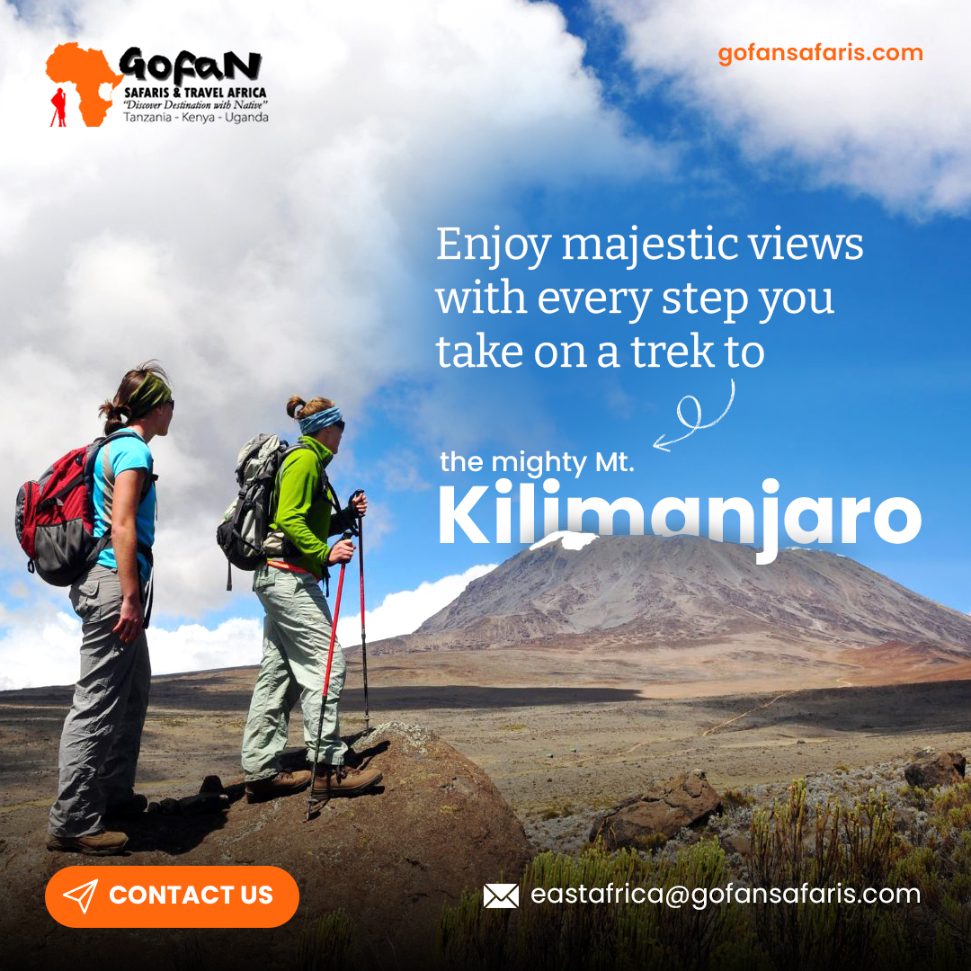 Join us on an unforgettable trek to the summit of Mount Kilimanjaro.

Our experienced guides will lead you on a challenging but rewarding journey to the rooftop of the continent.
 
To know more contact us!

#Adventure #Kilimanjaro #trekking #summit #majestic #Eastafrica