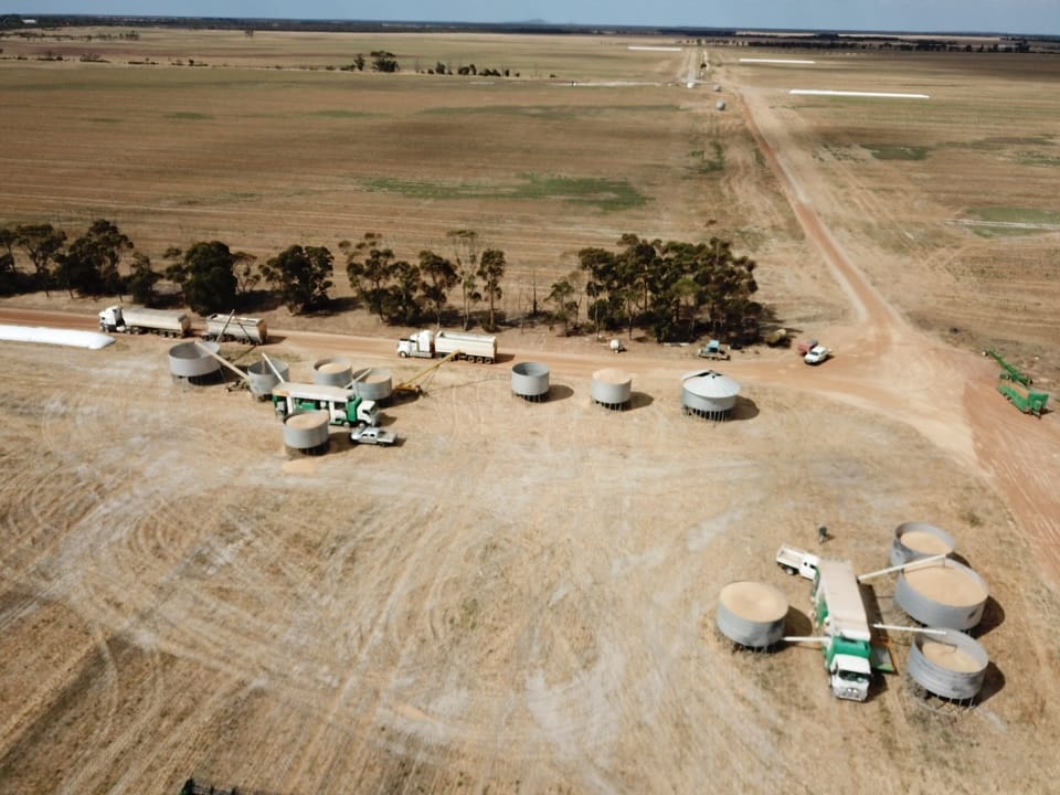 karensmithscl's tweet photo. #SeedShield smashing it out on farm cleaning wheat with 2 seed trucks and #sclaustralia road trains carting it away πΎππ https://t.co/FBIvLbUbg5