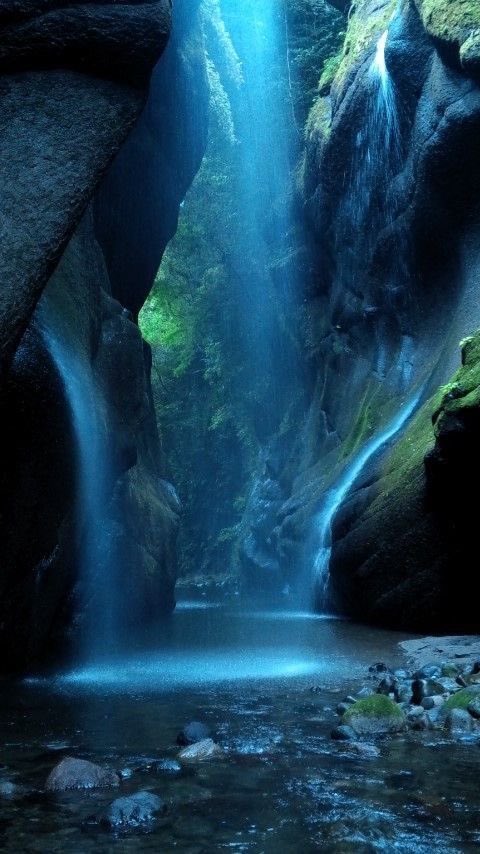 #nature