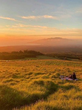 piitures's tweet photo. Golden hour https://t.co/1lAIeSGBUd