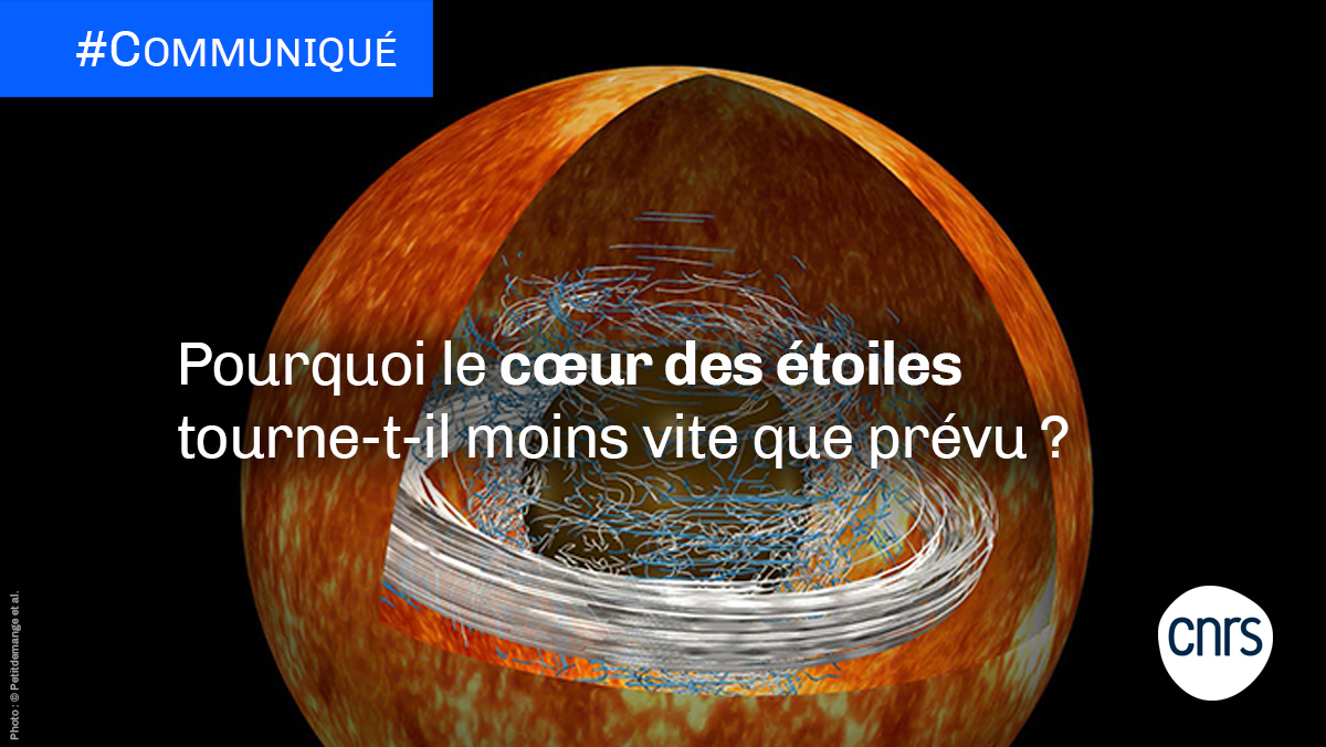 CNRS's tweet photo. #Communiqué 🗞️ Dans certaines conditions, le cœur des étoiles se met à tourner plus rapidement que les couches extérieures de l’astre, mais plus lentement que ce que les calculs prédisent. Pourquoi ? Trois scientifiques français ont étudié la question.
➡️ https://t.co/H5OMUNXjiR https://t.co/NaeU4Dq9sh