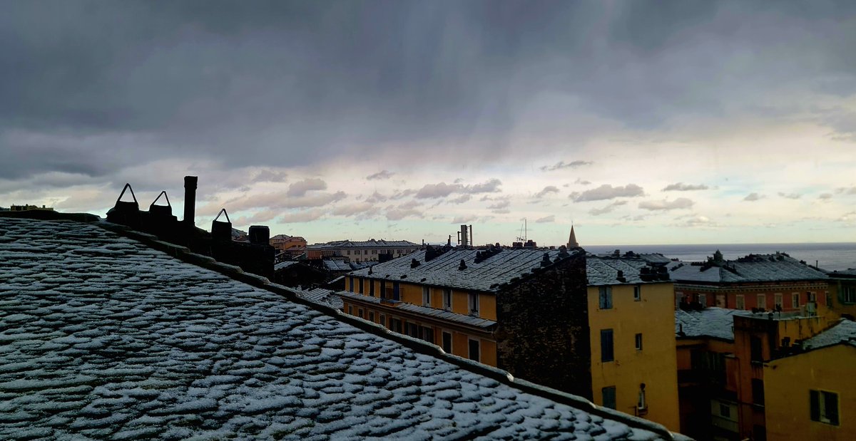 stinzamignoculu's tweet photo. Bastia...
#grandina https://t.co/xcOZxKPFM4