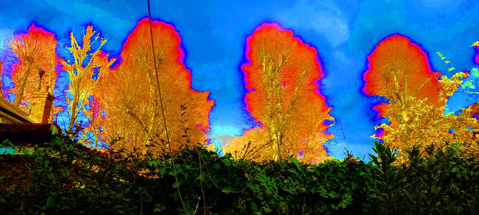 Writers Forum Workshop tweet media