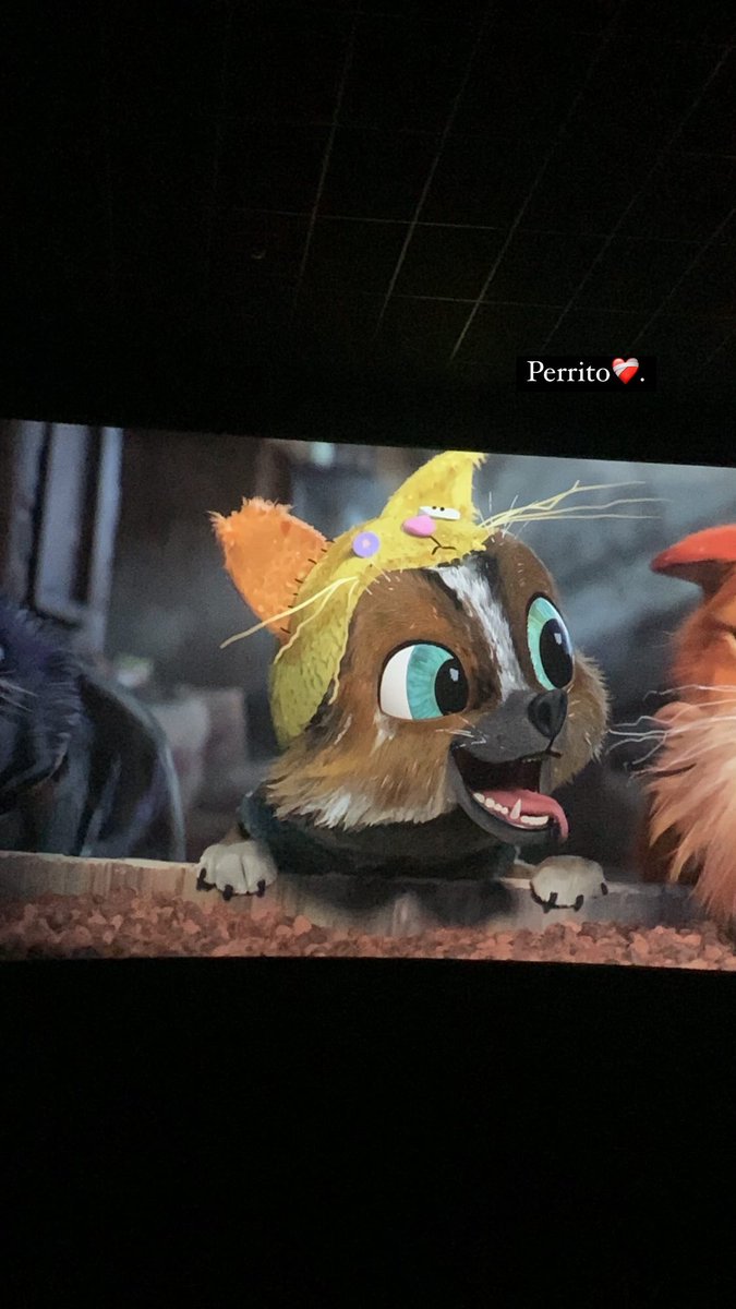 Andreavdl_'s tweet photo. @Vcfuckyeah Perrito es todo lo que está bien 🥹❤️‍🩹 https://t.co/iF8y4JXmE5