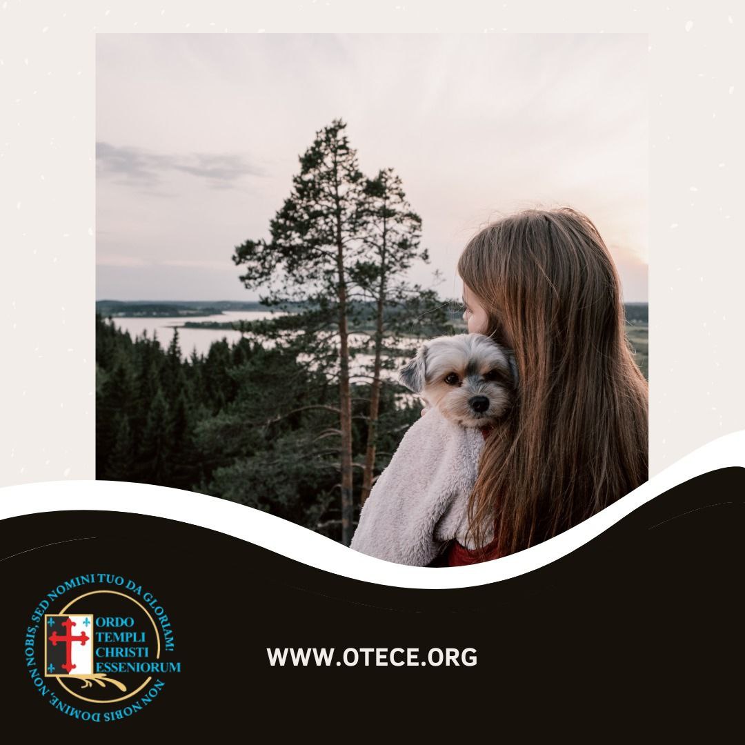 OTECE_'s tweet photo. ORDO TEMPLI CHRISTI ESSENIORUM
An Essenian Master accepts his mission on #earth and carries it out with absolute dedication.He lives in constant union with all,so that he never feels alone or isolated.
#OTECE #templars #essens #FreedomTruthJustice #spirituality #international https://t.co/y6rzbQVfCr