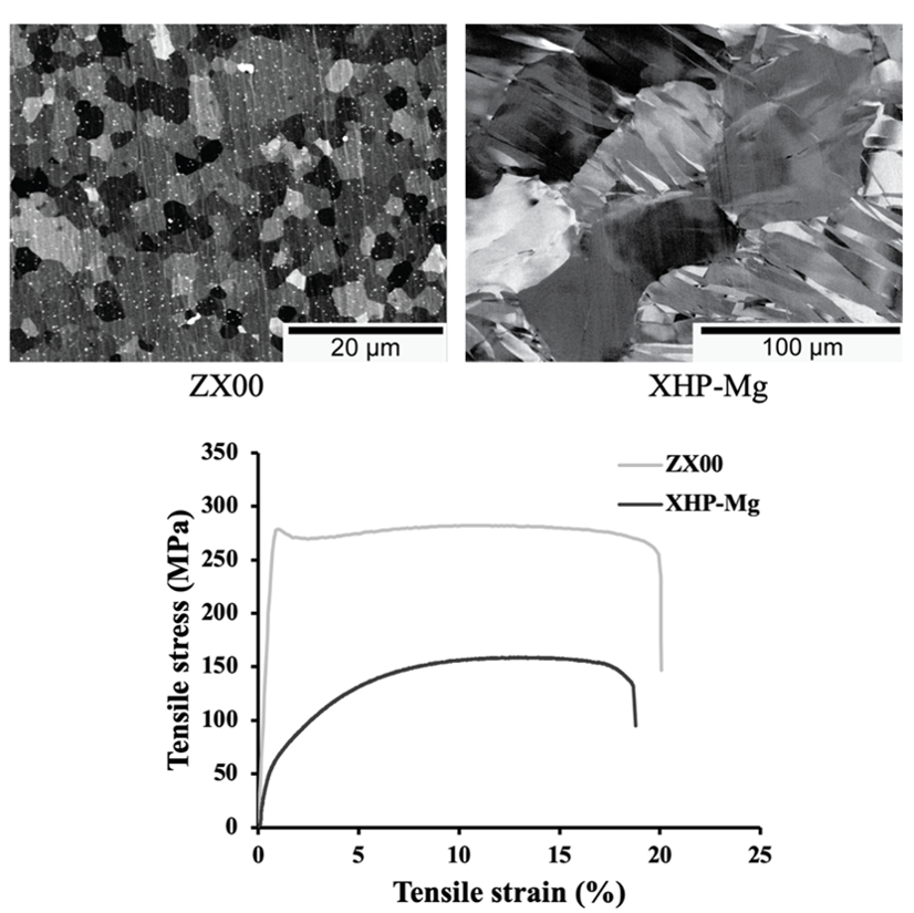In a recent <a href="/BiomaterialsAdv/">Biomaterials Advances</a> work, we demonstrate the safe in-vitro and in-vivo degradation performance of lean, ultrahigh-purity MgZnCa alloys. See details in <a href="/BegumOkutan/">Begüm Okutan</a> et al, doi.org/10.1016/j.bioa…; <a href="/MedUniGraz/">Med Uni Graz</a>, <a href="/ETH_Materials/">ETH Department of Materials</a>, <a href="/ETH_en/">ETH Zurich</a>, <a href="/BiomaterialsG/">BioMaterials Group</a>, <a href="/WUT_edu/">Warsaw University of Technology</a>, <a href="/i3S_UPorto/">i3S-Instituto de Investigação e Inovação em Saúde</a>