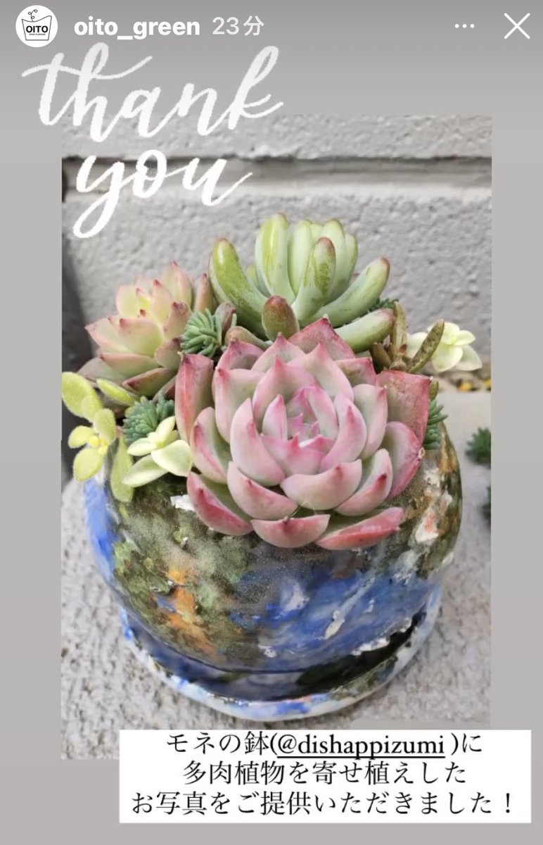 IZUMI_OTA's tweet photo. #OITO さんのストーリーズに、植木鉢の購入者から、使用シーンを送ってもらえた!
やはりこういう交流が楽しい。
#DishApp https://t.co/wMNL9SjMUT