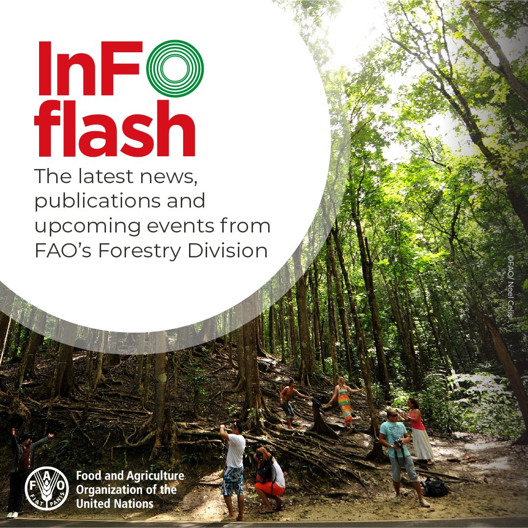 FAO Forestry (@faoforestry) on Twitter photo Want to catch up on all the latest publications and upcoming events from <a href="/FAO/">Food and Agriculture Organization</a>’s Forestry Division?
Subscribe to our free InFOflash newsletter for monthly updates:
👉 bit.ly/3UXVkKn Want to catch up on all the latest publications and upcoming events from <a href="/FAO/">Food and Agriculture Organization</a>’s Forestry Division?
Subscribe to our free InFOflash newsletter for monthly updates:
👉 bit.ly/3UXVkKn