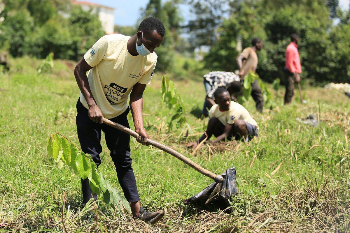 NWoodJournal's tweet photo. Stihl expands partnership with Fairventures: Stihl has supported the organization Fairventures Worldwide with funding, equipment, and expertise since 2017. Now, that partnership is expanded by a project in Uganda and on Borneo where Fairventures will… https://t.co/SFCblGEN4F https://t.co/0da3epRyT6