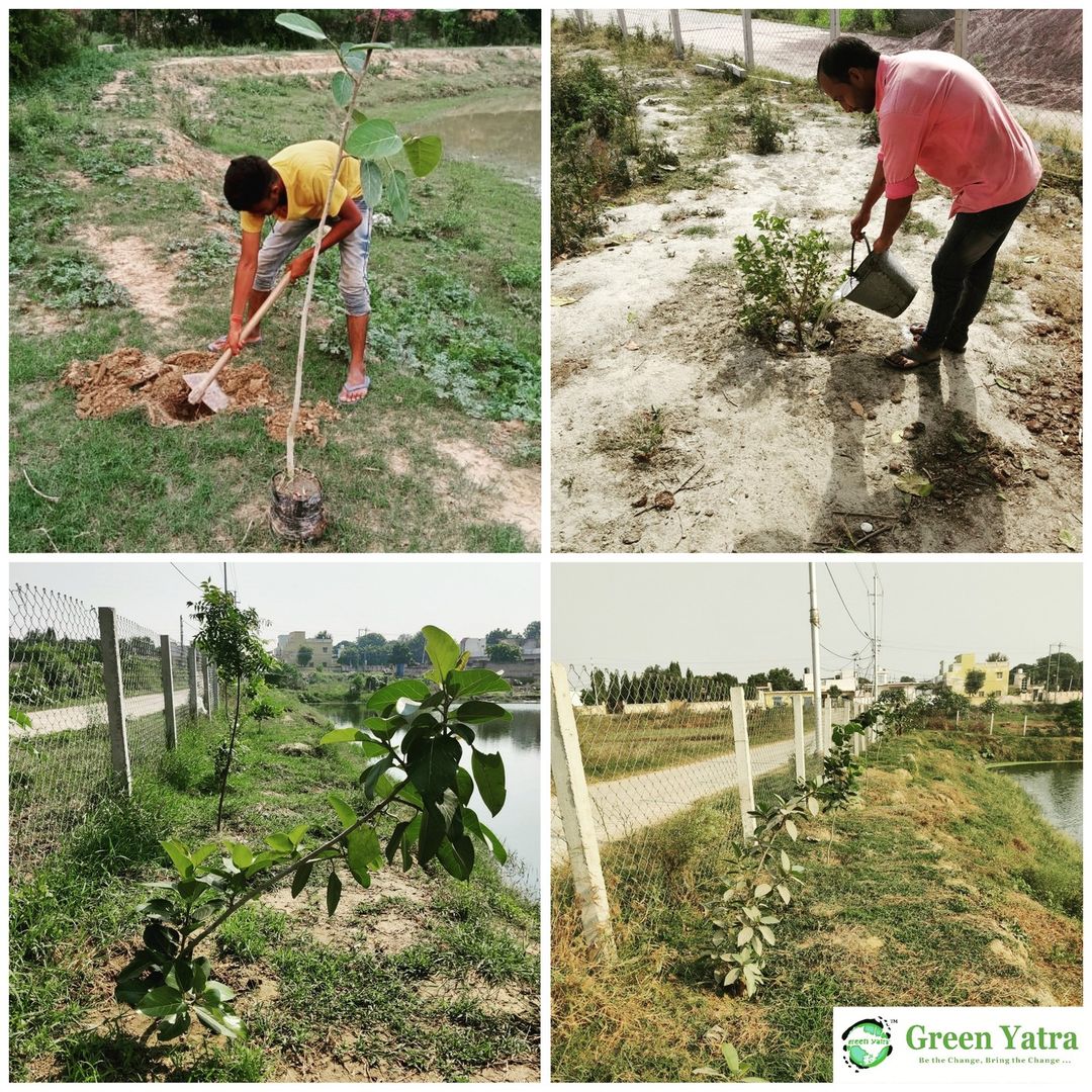 Greenyatra's tweet photo. Trees and ponds: a perfect pair. One filters the water, the other provides habitat. #plantmoretrees #protectourponds
Planting trees near pond banks is an easy way to improve water quality, reduce erosion, and provide habitat for wildlife. #treesforlife #pondconservation #ecology https://t.co/MNcR6aLgQn
