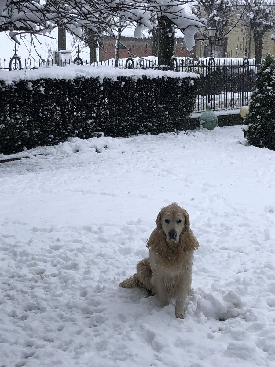 Finalmente la neve sui #collitortonesi