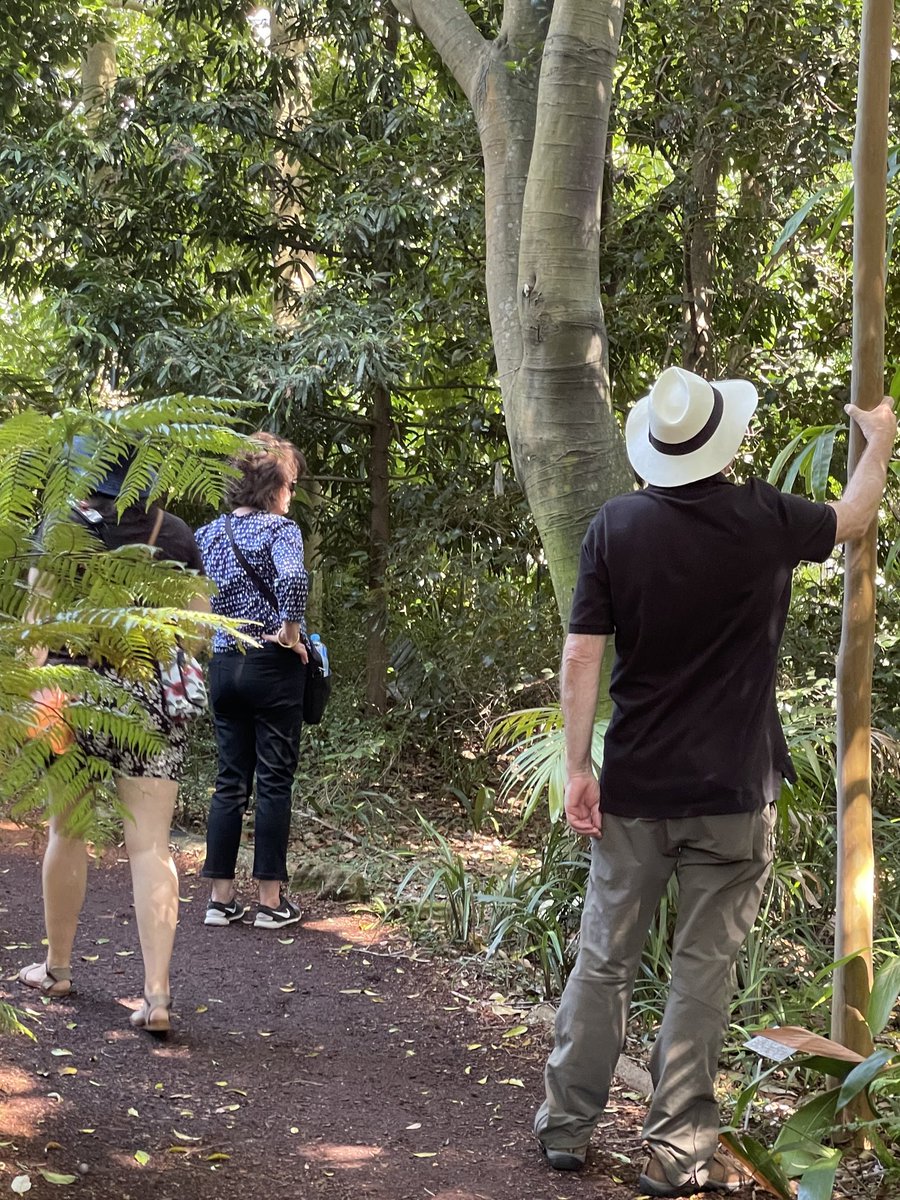 Fantastic opportunity to join me on this 3 hour nature therapy walk and rejuvenate and refresh. #nature #natureconnection #foresttherapy #mentalhealth