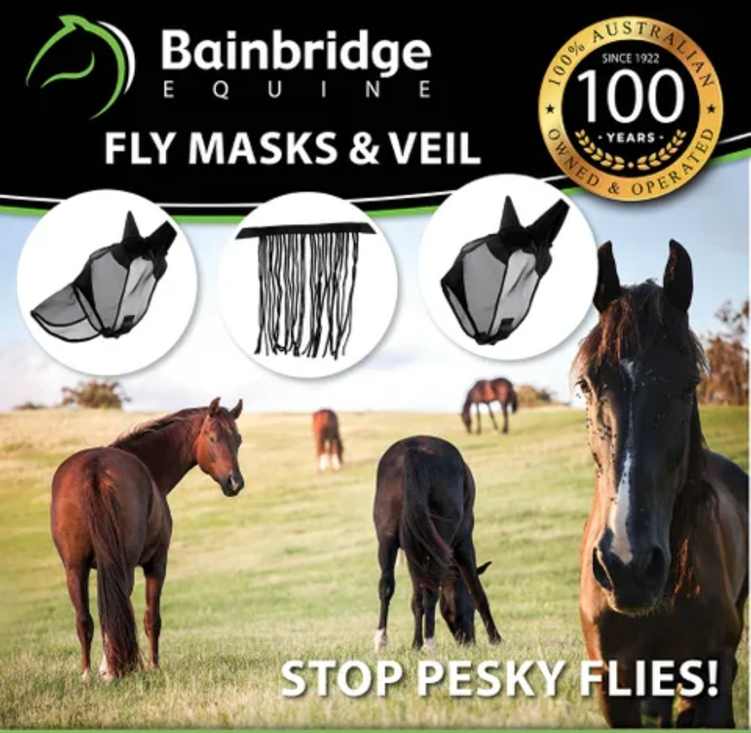 With Summer in full swing, and the flies buzzing around and causing all sorts of annoyances to our equine friends, Bainbridge now have a *NEW* range of Fly Masks and veils! 

Speak to your local rural store to grab yours today! 

#equinehealth #flymasks #flyveils #summertime