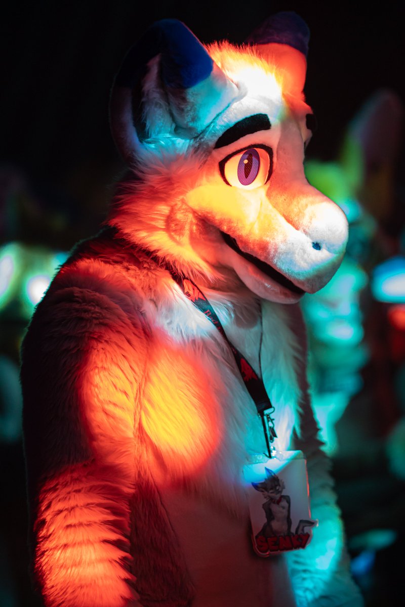 Keeewiiii's tweet photo. @SenkyDragon the dance lights looked cool on you :p

#furries #furcon2023 #furtherconfusion2023 #fursuit https://t.co/Y2jwpPyBmo