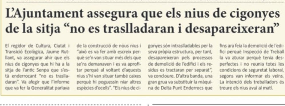 pardinyes's tweet photo. URGENTE 🔴🔴🔴🔴 El ayuntamiento @paerialleida de la mano de @jrutllant , dice que no se van a trasladar los nidos que simplemente se derribaran y se destruiran .  #gobiernoantibiodiversidad @AmigosCegonas @SEO_BirdLife @GLSEOBarcelona @ecologistas @minutron @MiquelPueyo https://t.co/K9ynhc5HpE