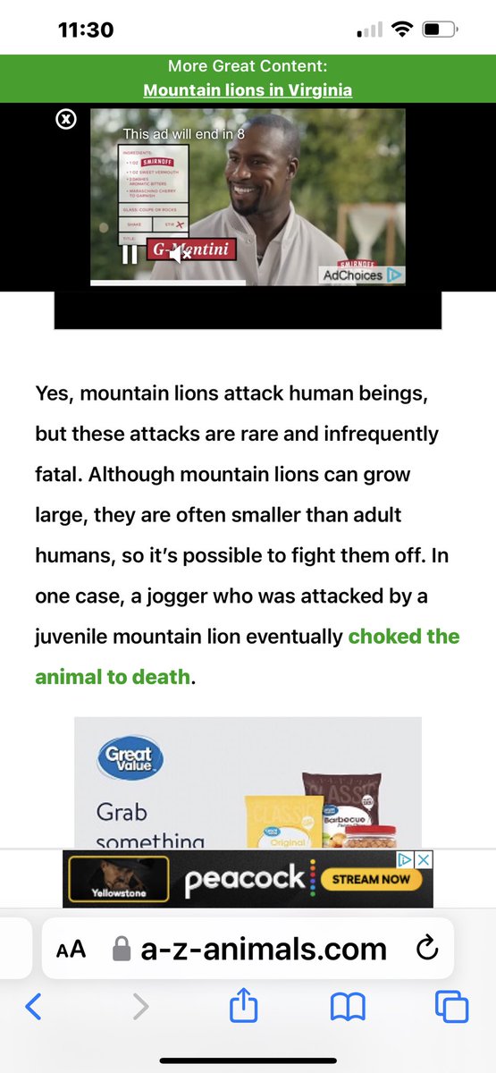 Heklina's tweet photo. @vanderkooey If you are not bothering their territory or cubs, you have a better chance of being hit by lightning than being killed or attacked by a mountain lion. They are losing their territory due to humans. Protect your pets but leave mountain lions alone https://t.co/GIcuL6Jqu3