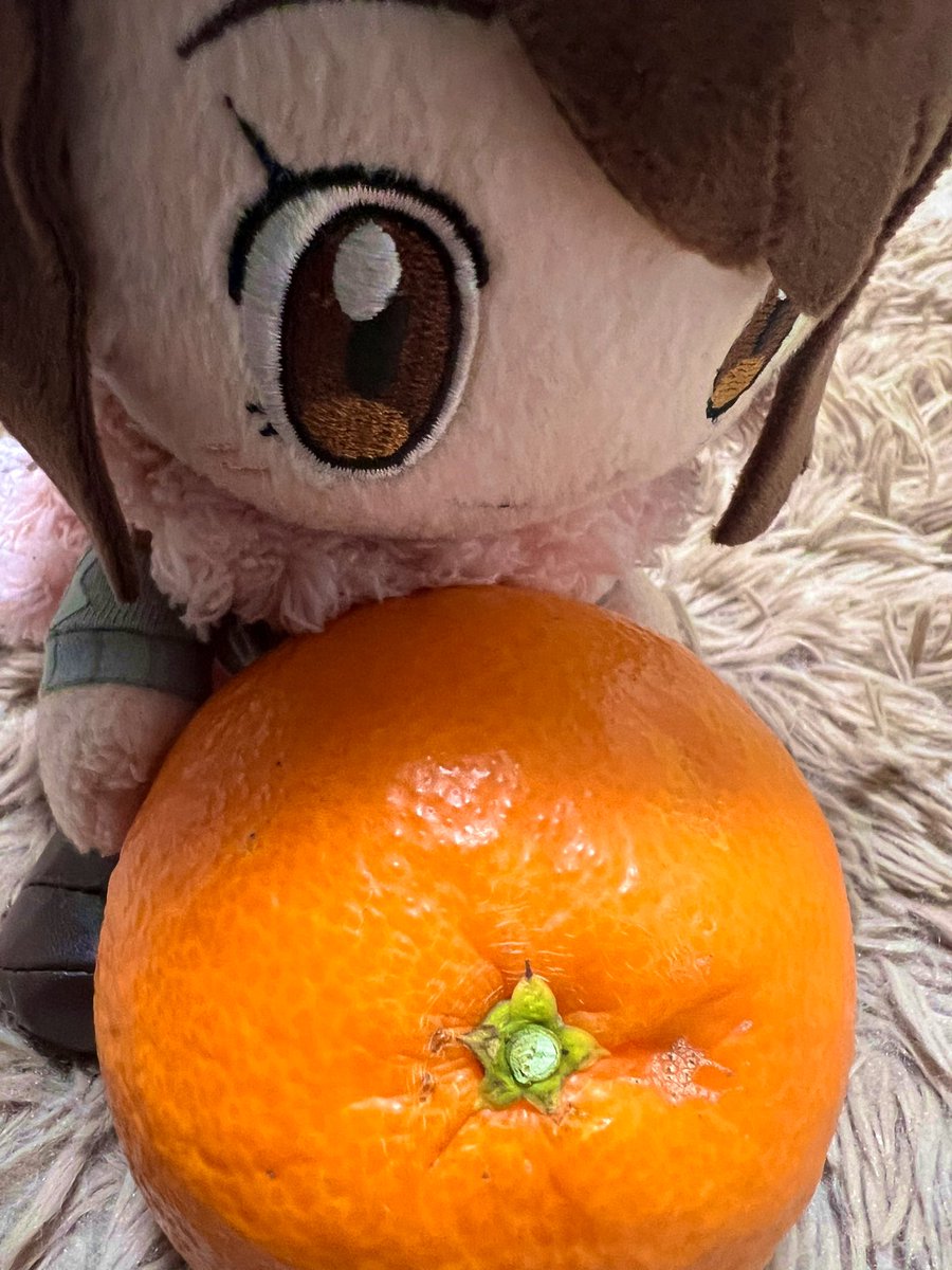 fruit food mandarin orange brown eyes smile 1girl brown hair  illustration images