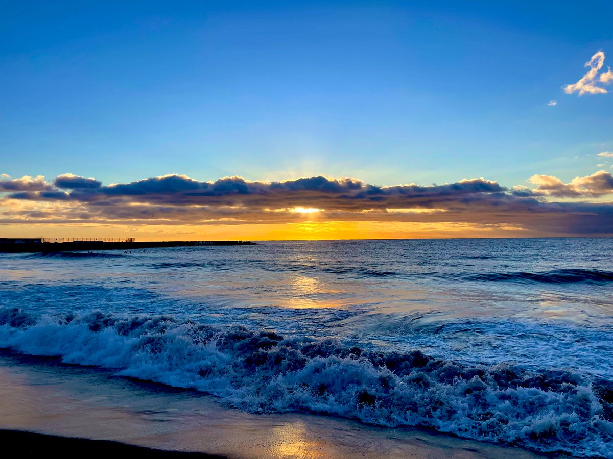 joan abella tweet media