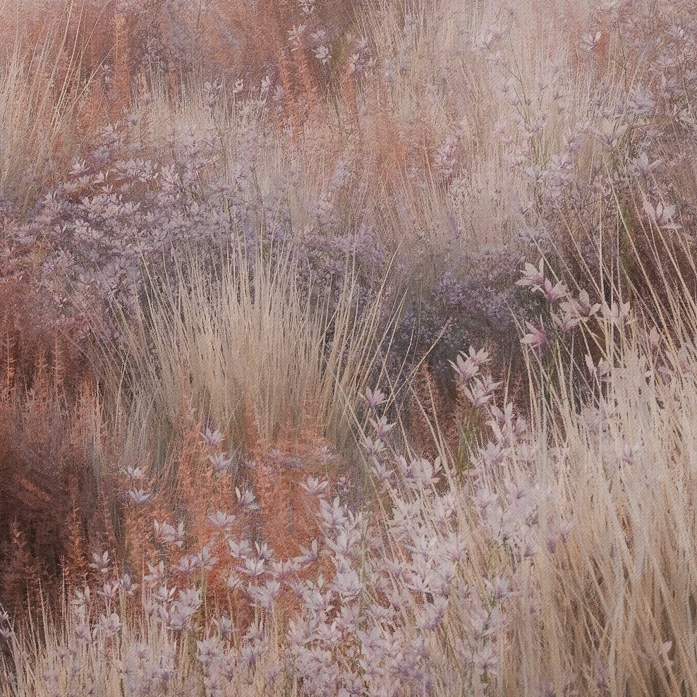 making my own dreams come true 🌸