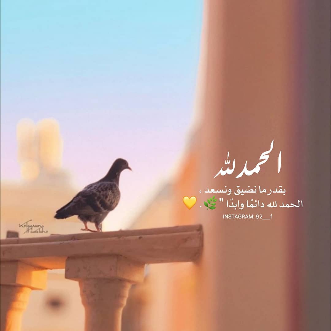 akram amer (@akramamer94) on Twitter photo 