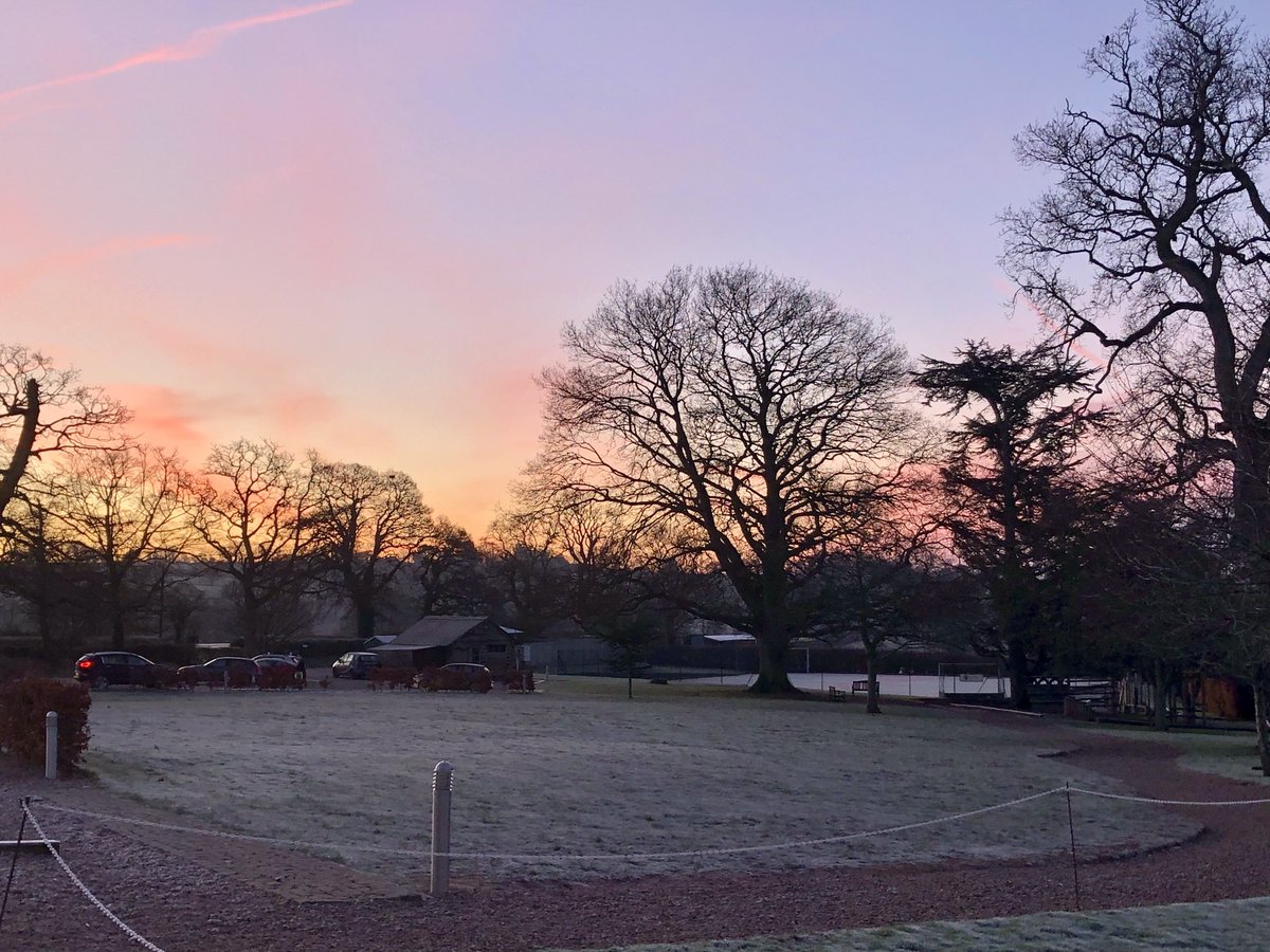 Charlotte Johnston tweet media