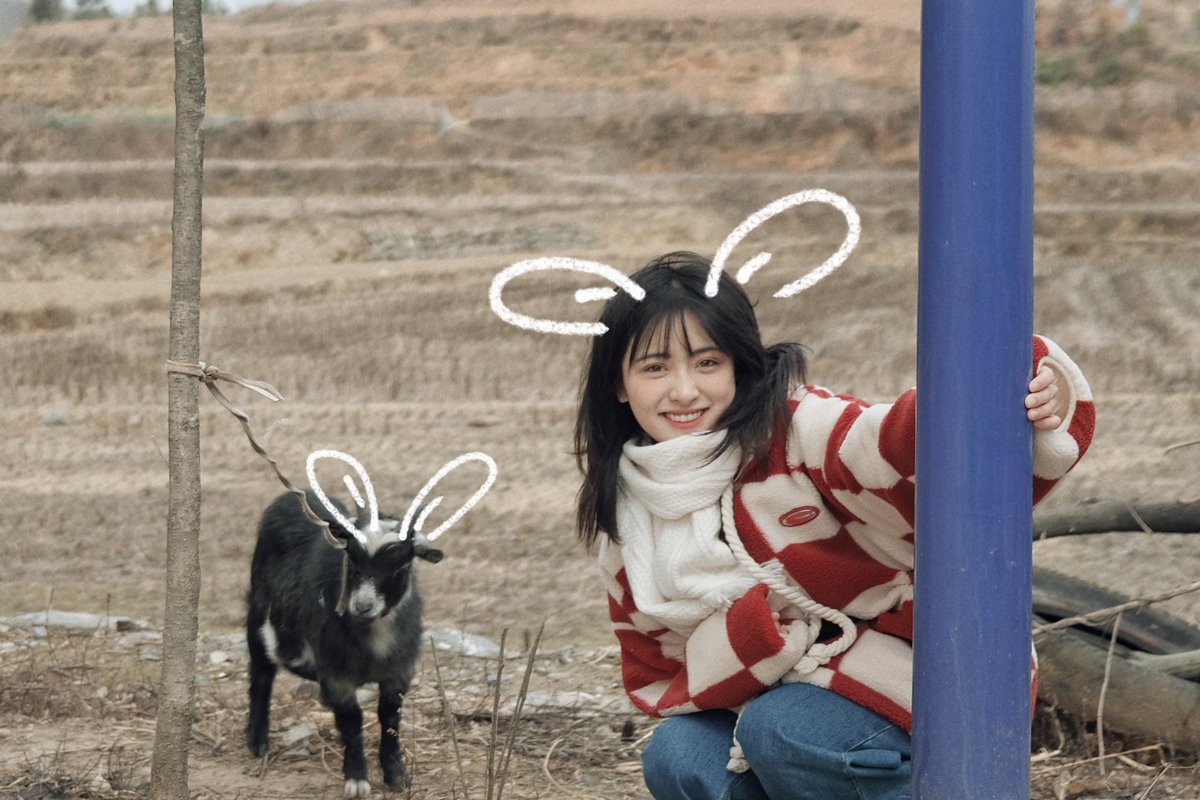230120 심월 초화 : 做咩啊雷🍄

#심월 #ShenYue #沈月