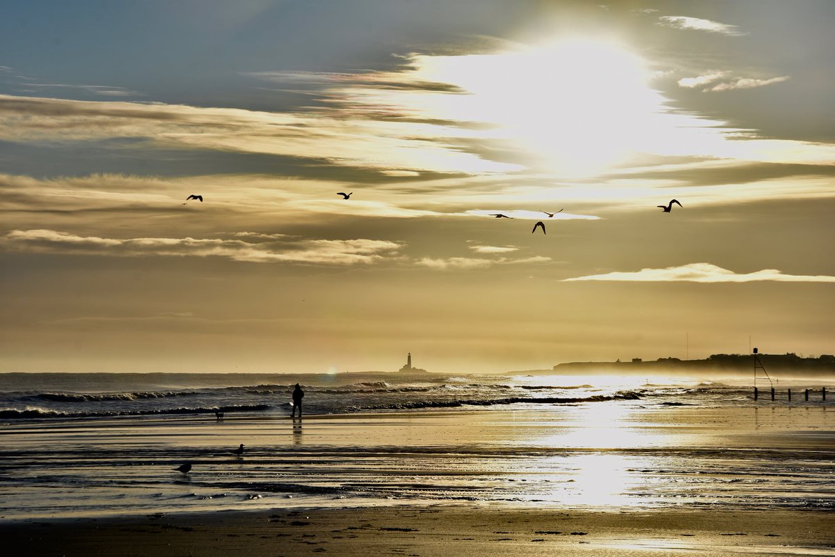 North Sea

#nature #NorthSea #selife #seafront #landscapelovers #beach #whiltleybay #StMarysLightHouse #sunrisephotography #sunrise #outdoor #nikon #nikonphotography @UKNikon